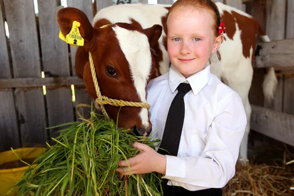 Marlborough A&P Show