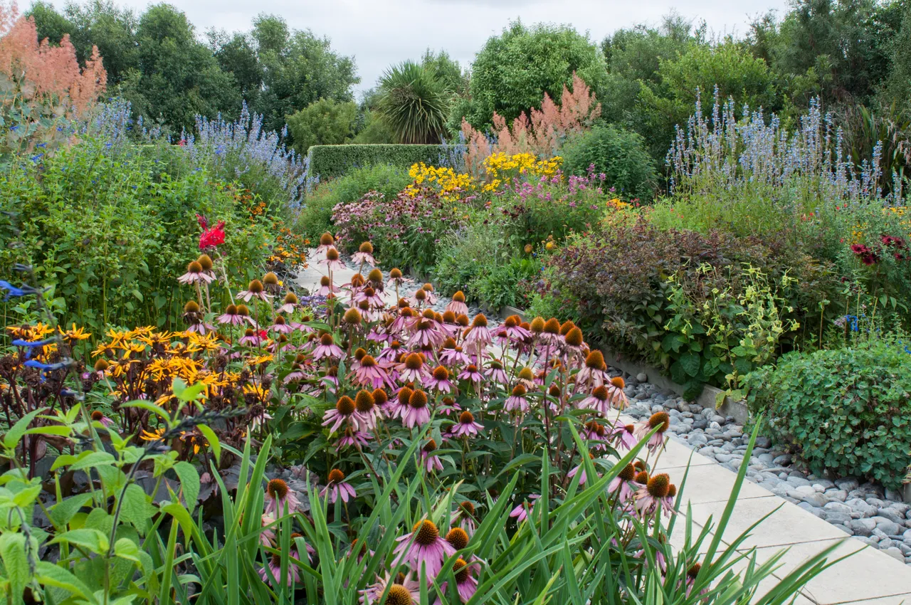 Rapaura Springs Garden Marlborough