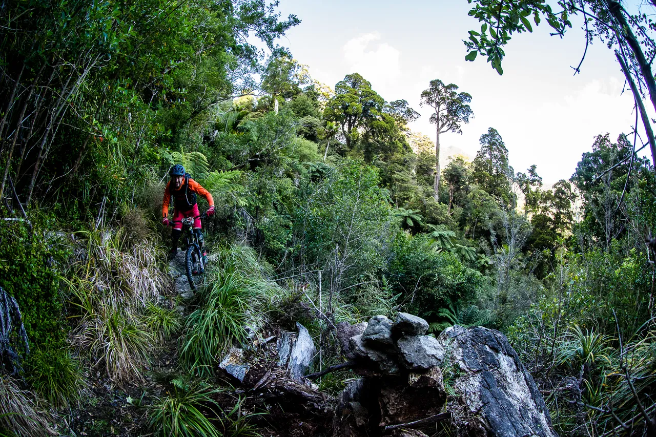 NZEnduro Nydia Bay