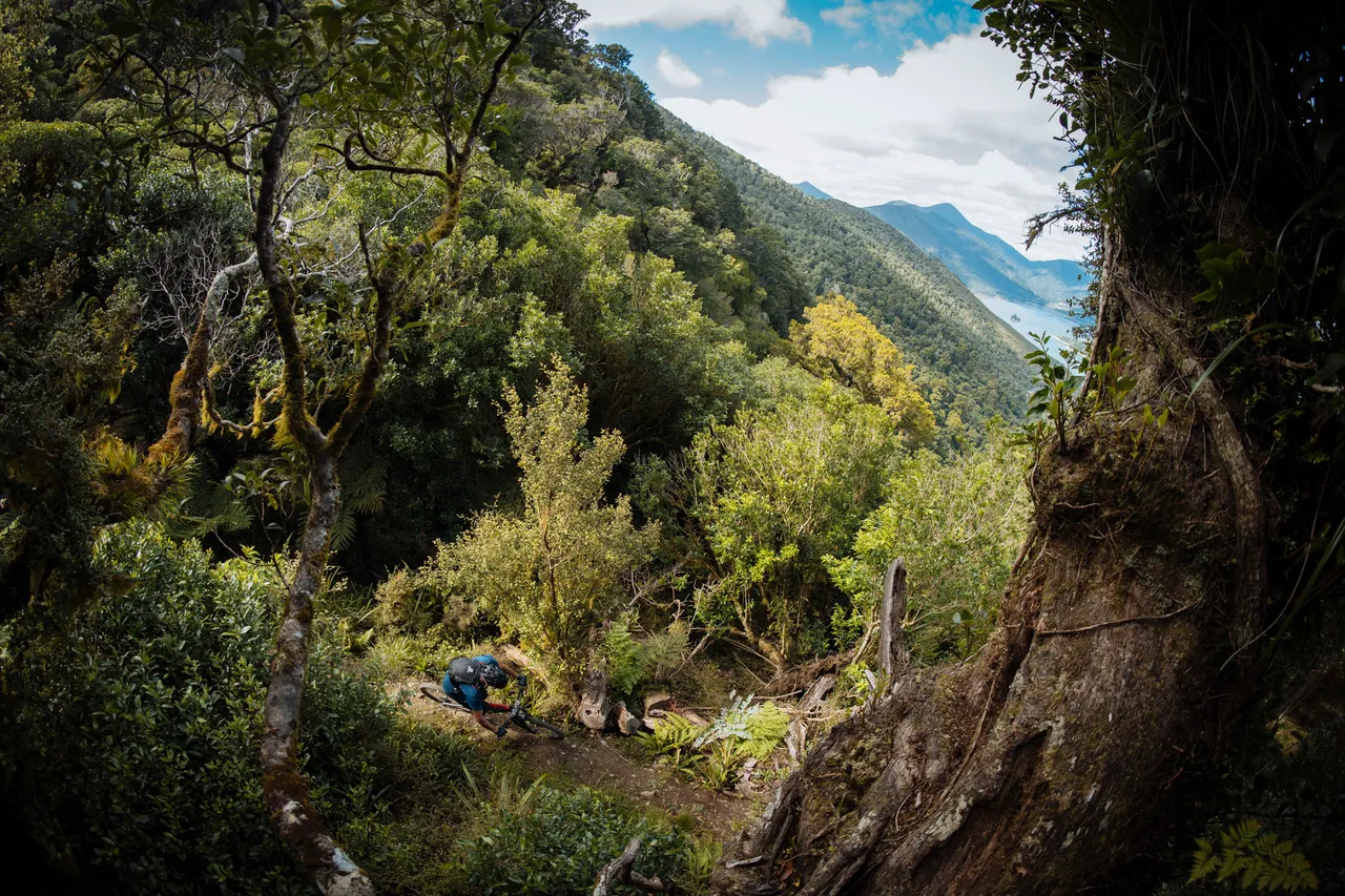 NZEnduro Nydia Bay