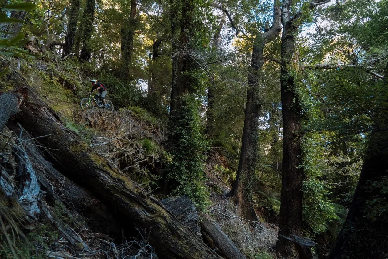 NZEnduro Nydia Bay