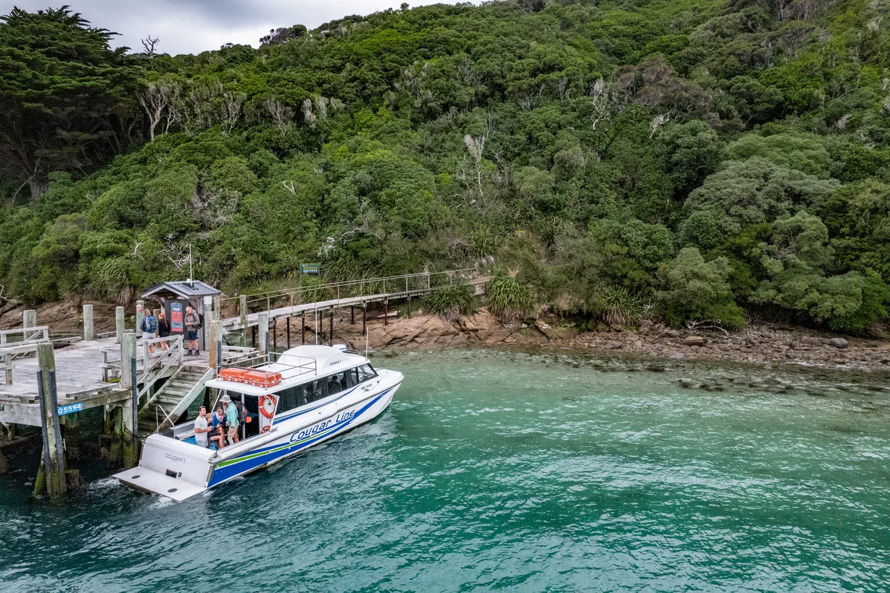Motuara Bird Sanctuary