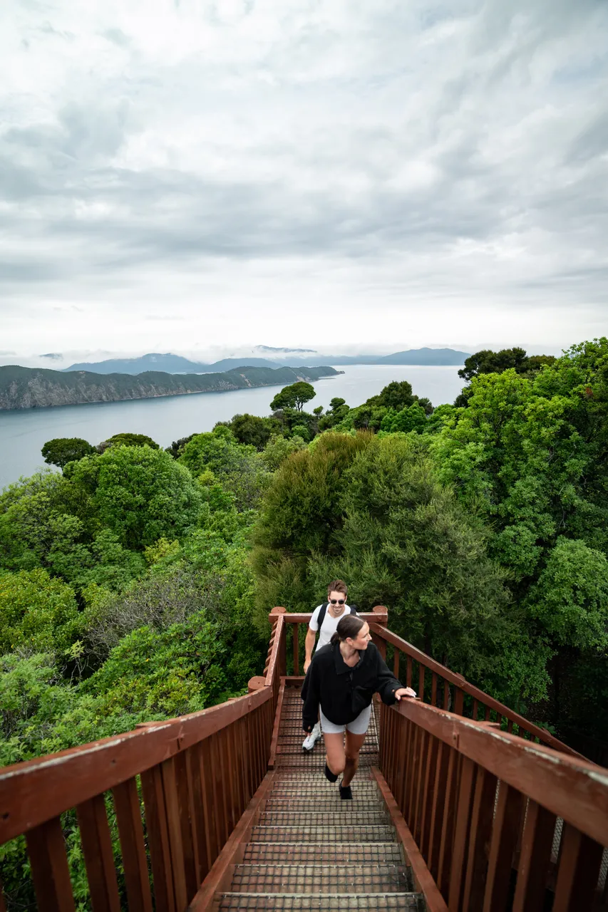 Motuara Bird Sanctuary