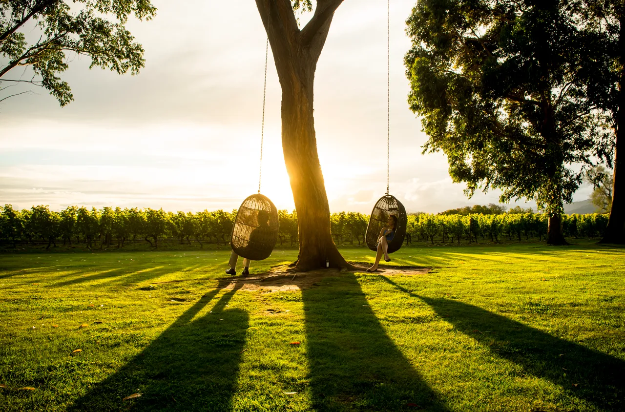 Couple on the swings at Cloudy Bay