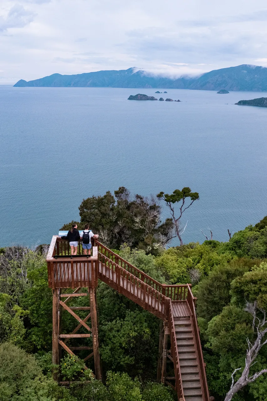 Motuara Bird Sanctuary