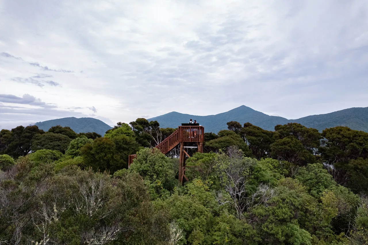 Motuara Bird Sanctuary