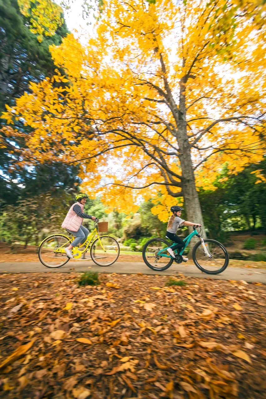 Playing in the Autumn leaves