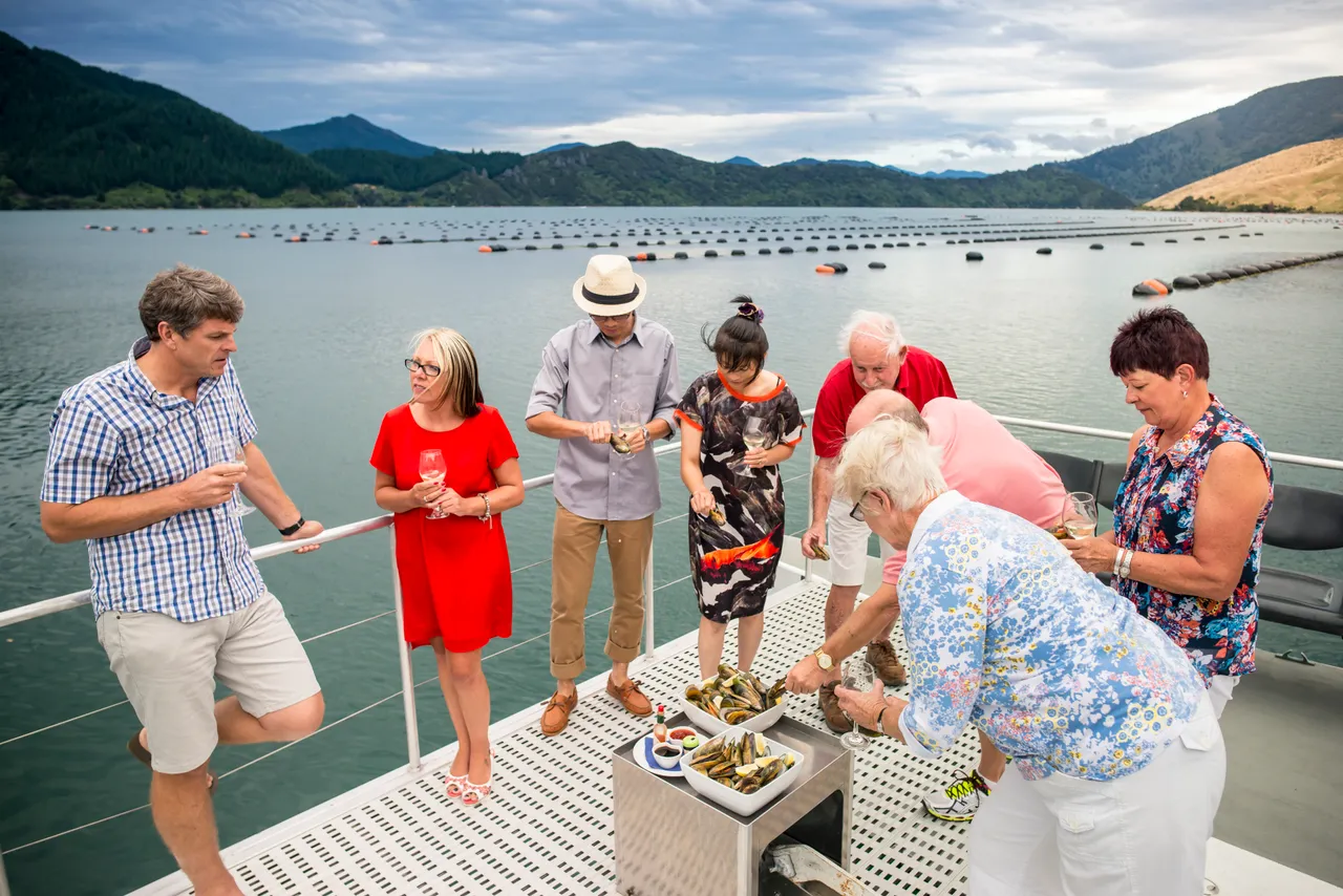Greenshell Mussel Cruise in the Marlborough Sounds