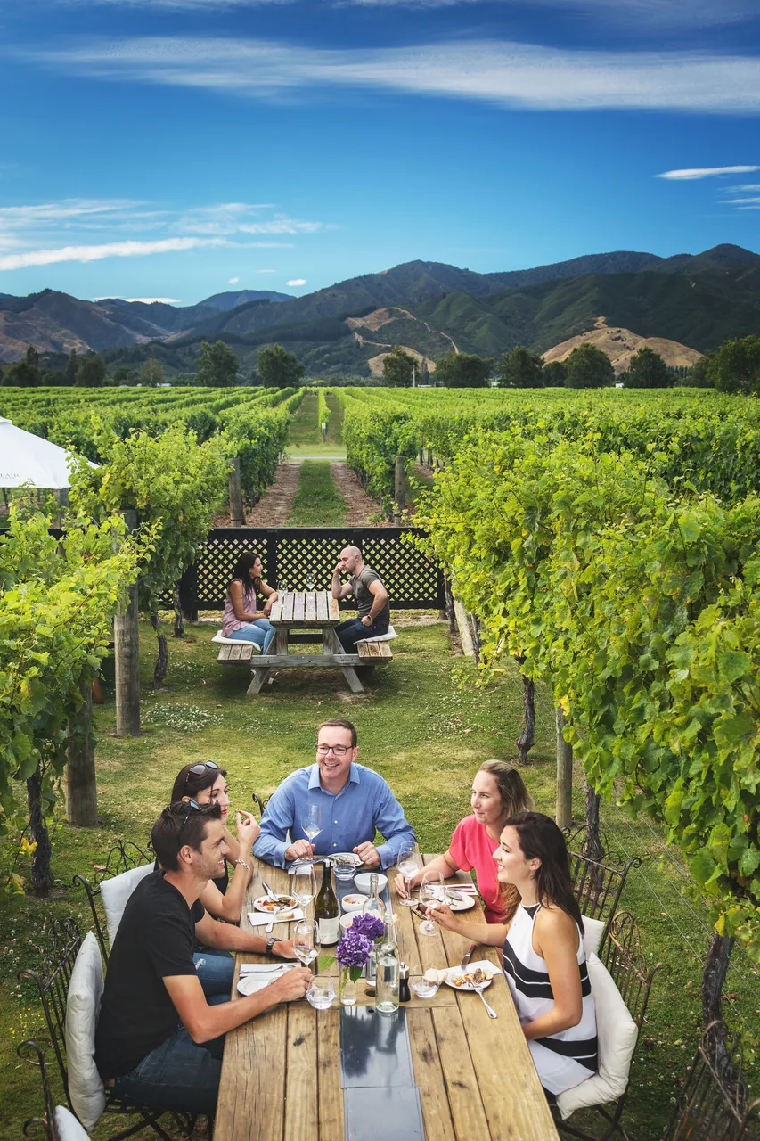 Group dining at multiple wineries