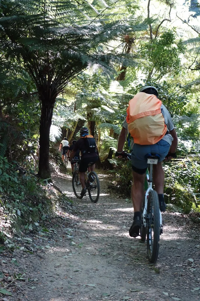 Mountain Biking - Queen Charlotte Track