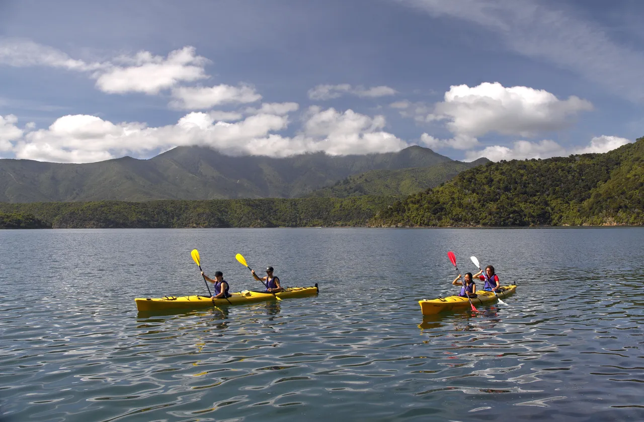 Kayaking Marlborough Sounds