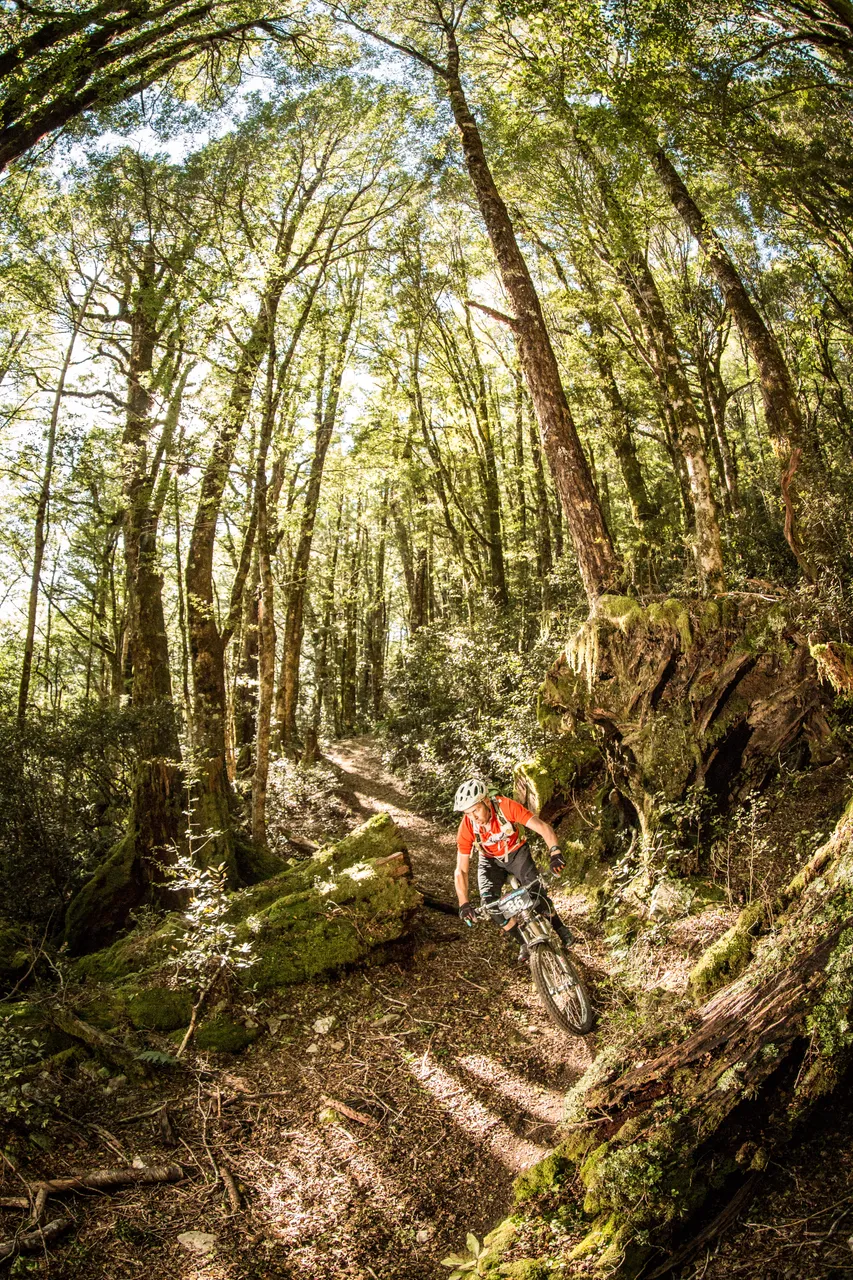 NZEnduro - Wakamarina