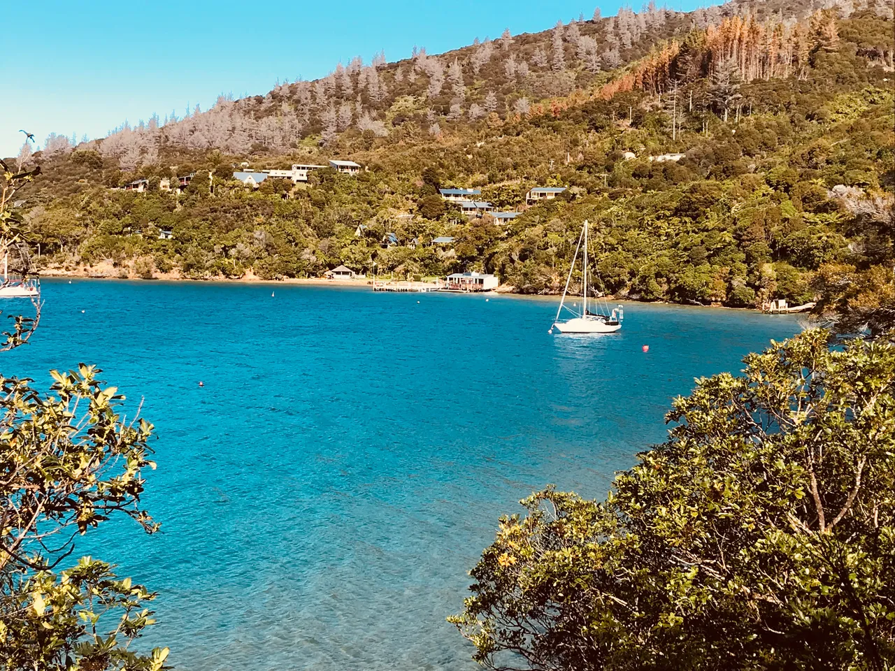 Marlborough Sounds Scenery