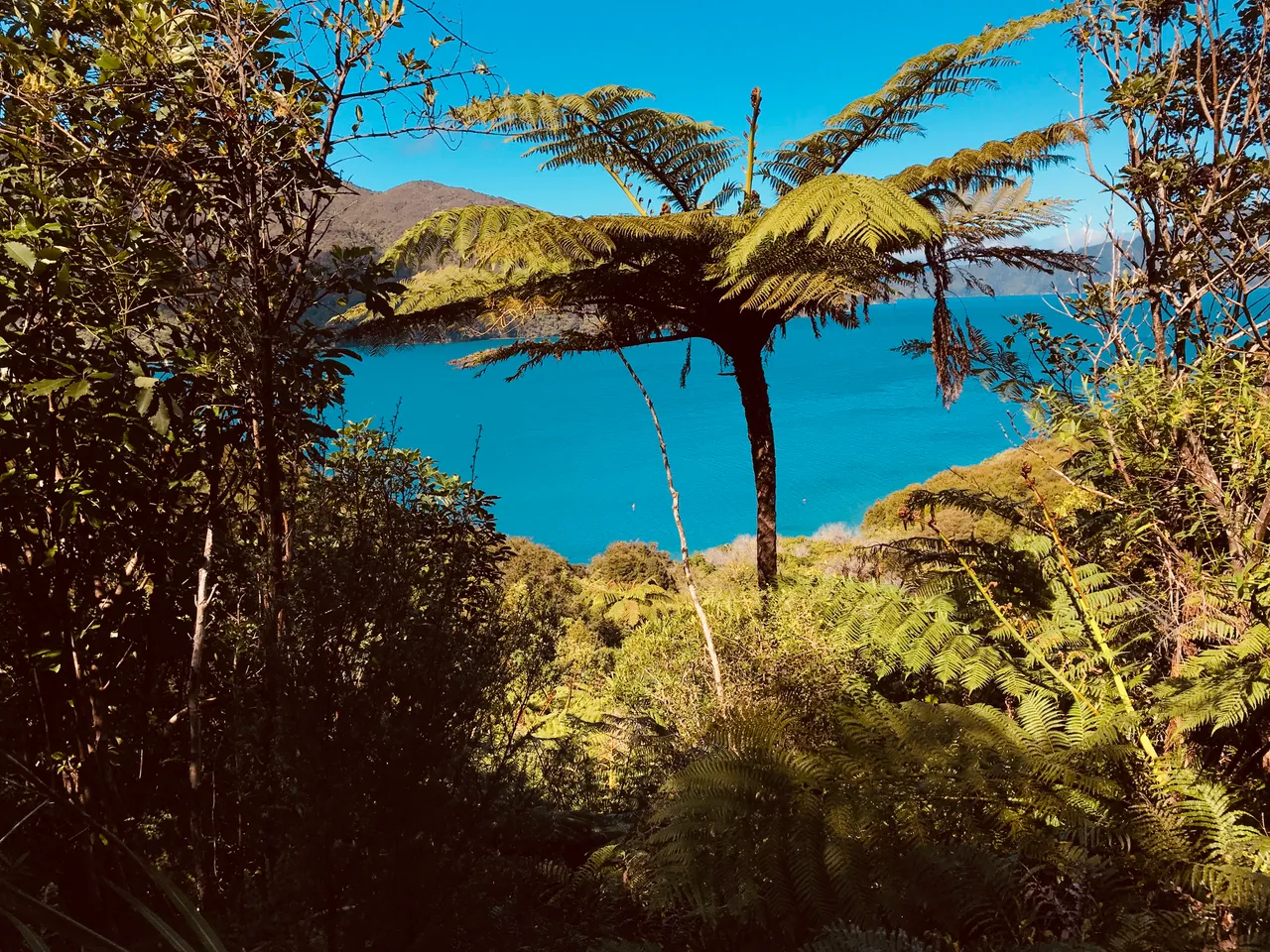 Marlborough Sounds Scenery