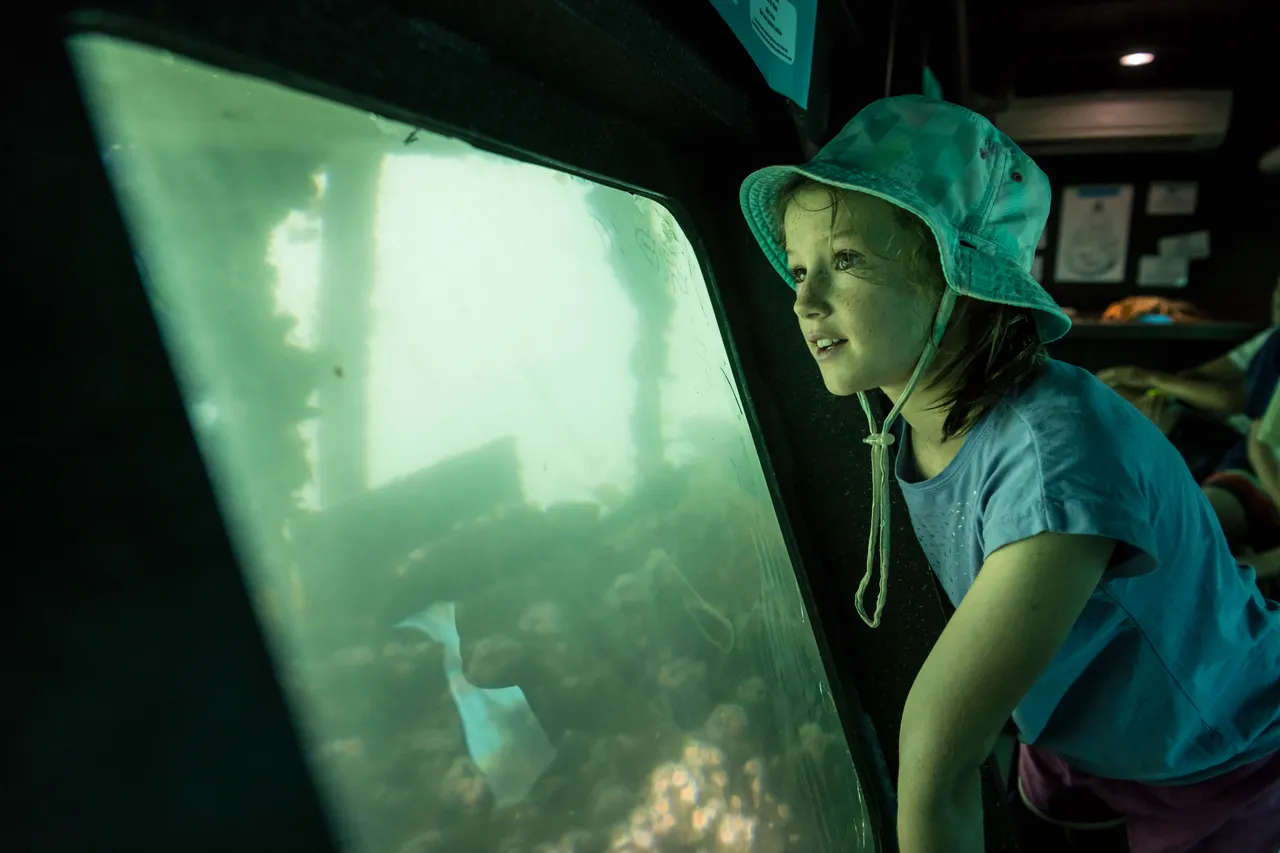 Lochmara Lodge underwater observatory