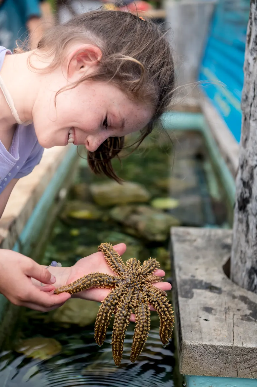 Lochmara Lodge touch tank (2)