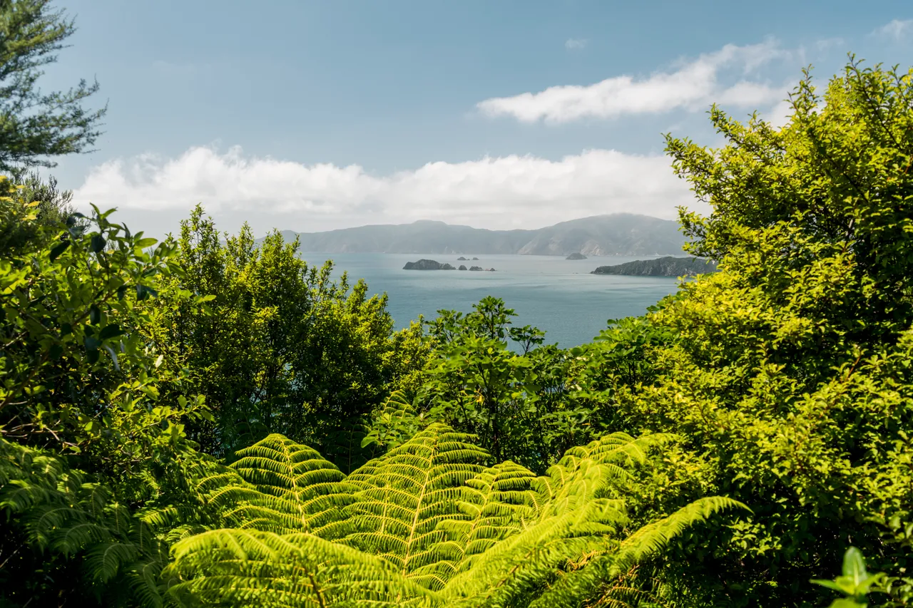Motuara Island (4)