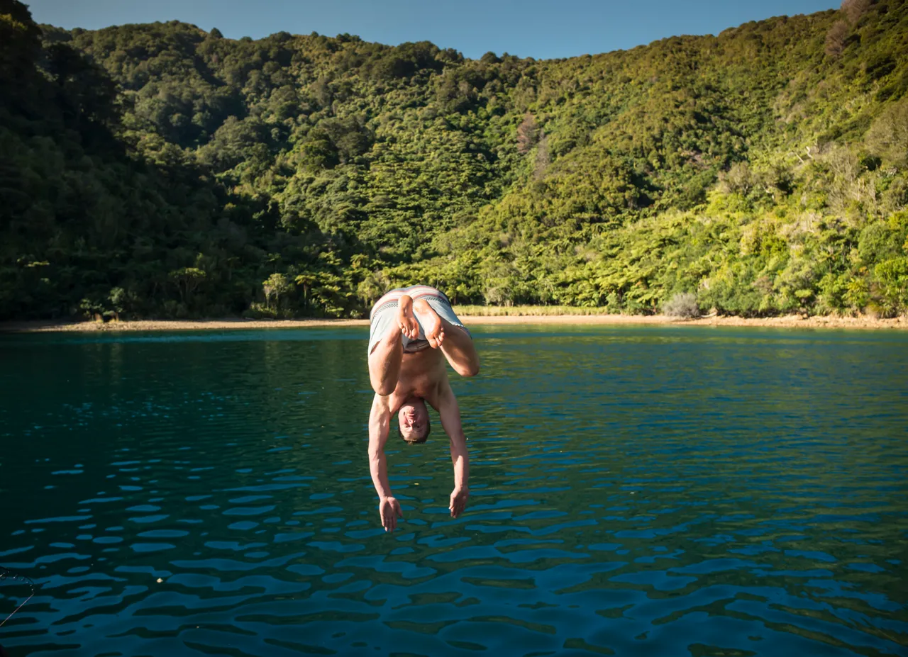 Swimming in the Marlborough Sounds