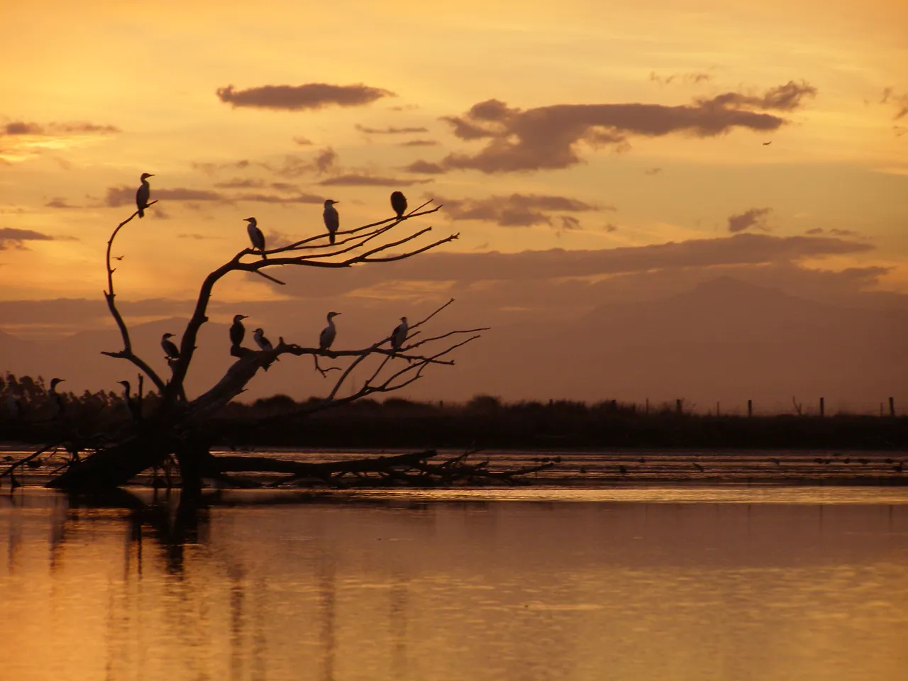 Sunset in Wairau Lagoons