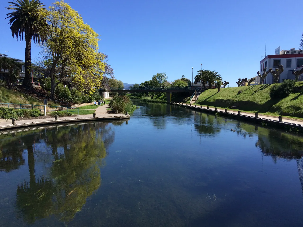 Taylor River