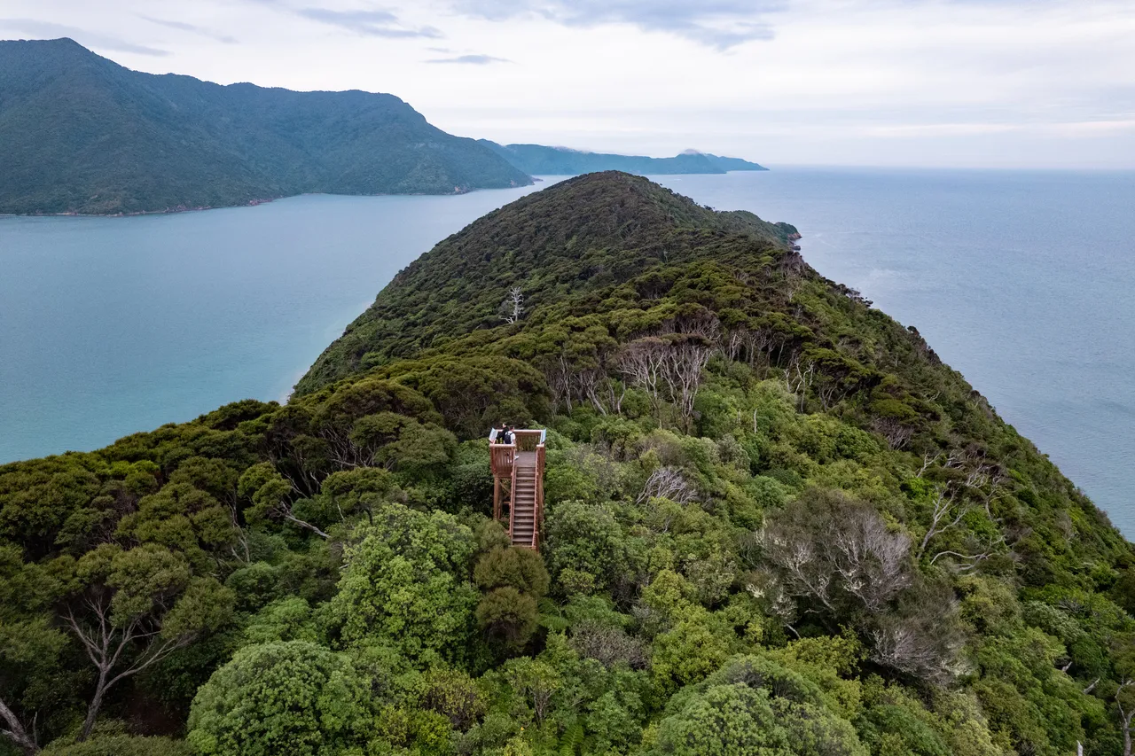 Motuara Bird Sanctuary