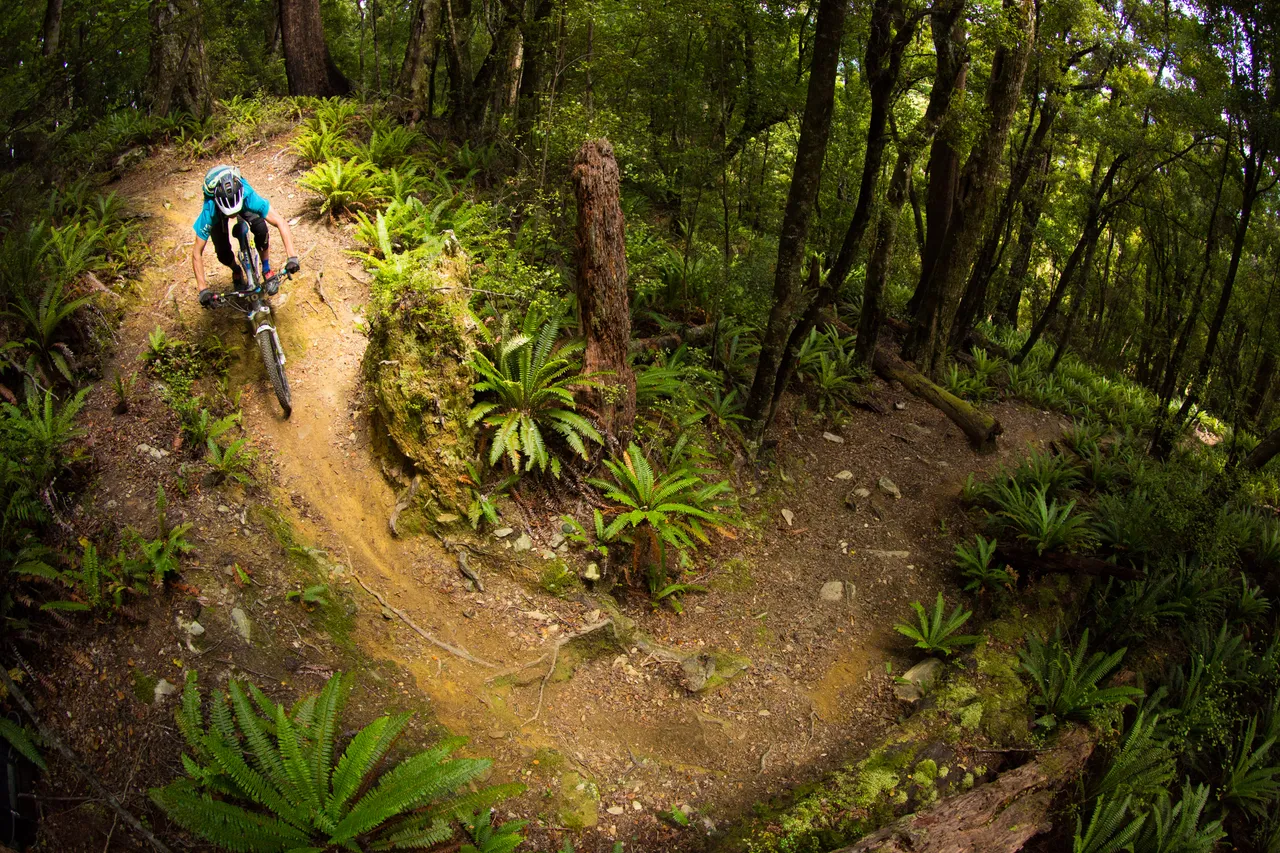 NZEnduro - Wakamarina