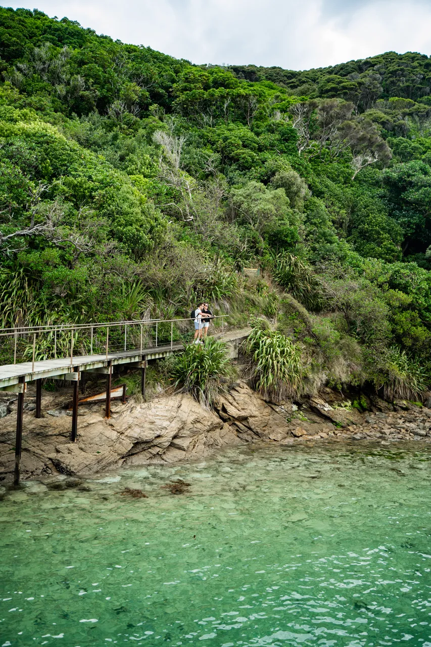 Motuara Bird Sanctuary