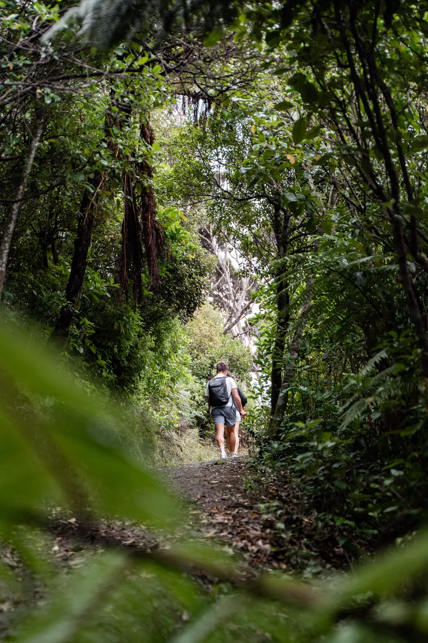 Motuara Bird Sanctuary