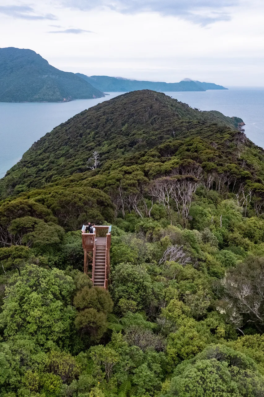 Motuara Bird Sanctuary