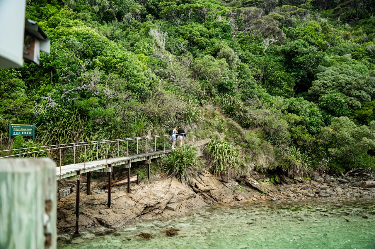 Motuara Bird Sanctuary