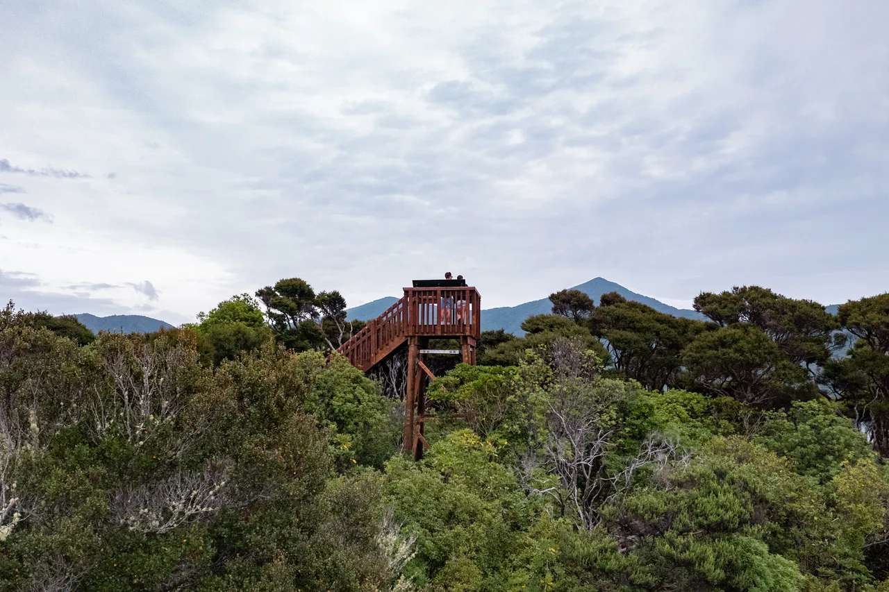 Motuara Bird Sanctuary