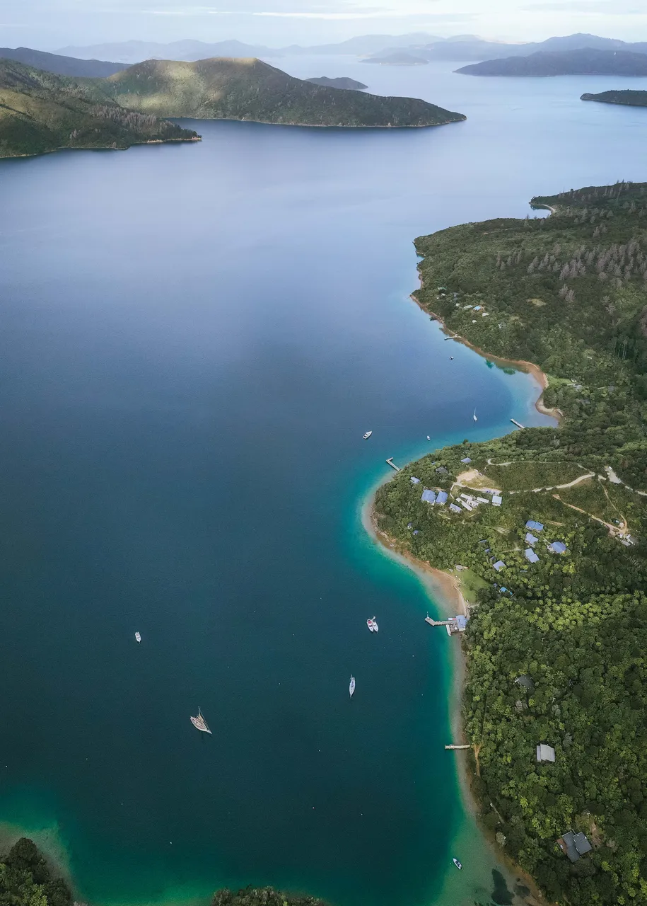 ponga cove drone (1 of 1)
