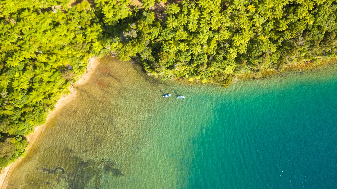 Drone over Marlborough Sounds