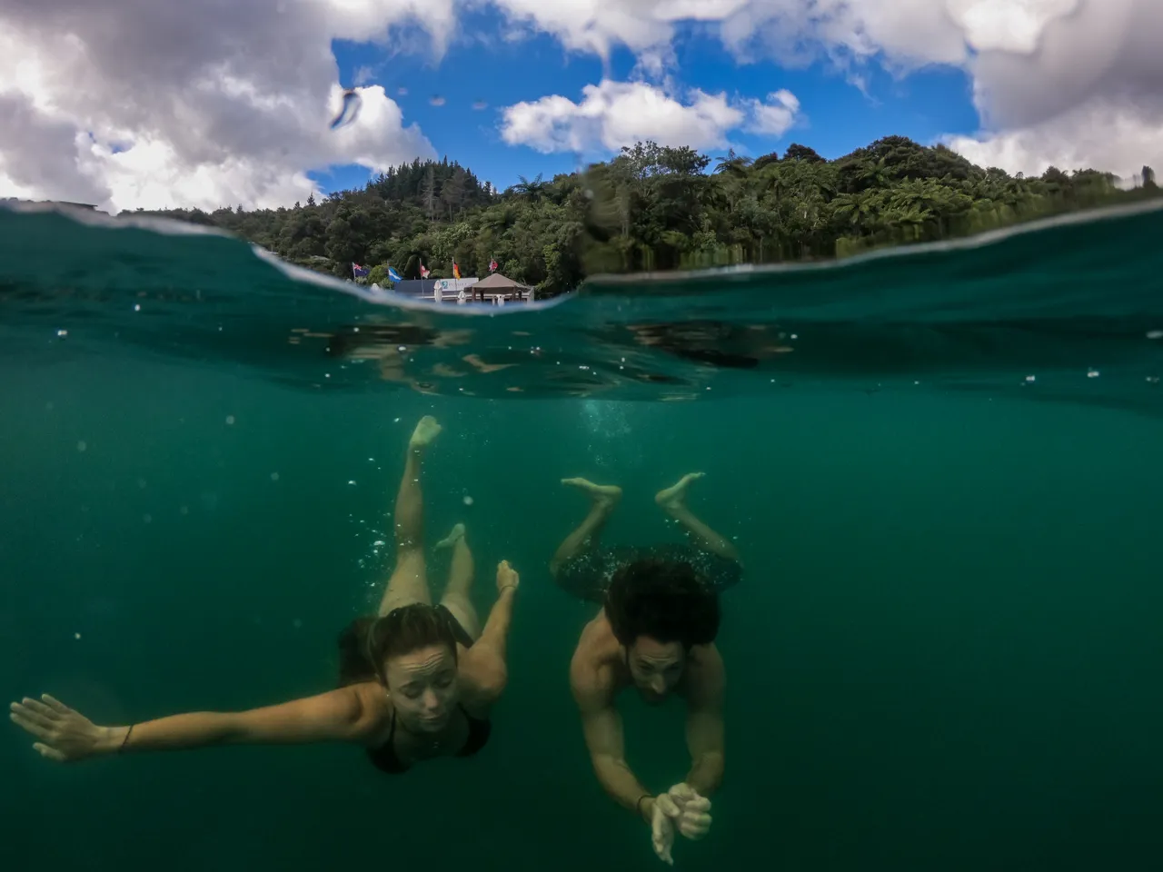 Swimming at Punga Cove
