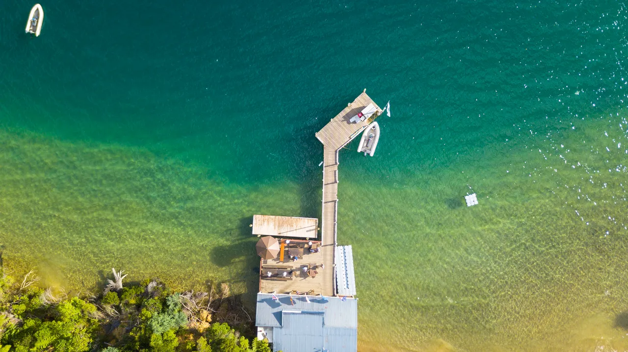 Punga Cove