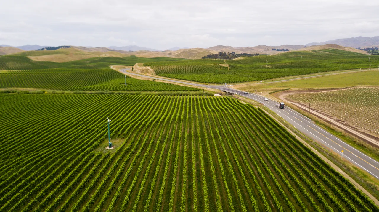 Marlborough Roads