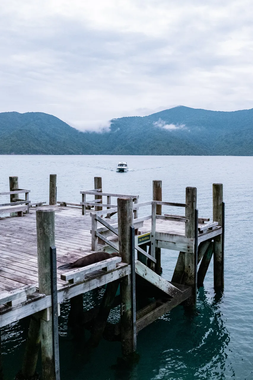 Motuara Bird Sanctuary