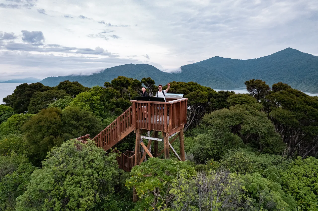 Motuara Bird Sanctuary