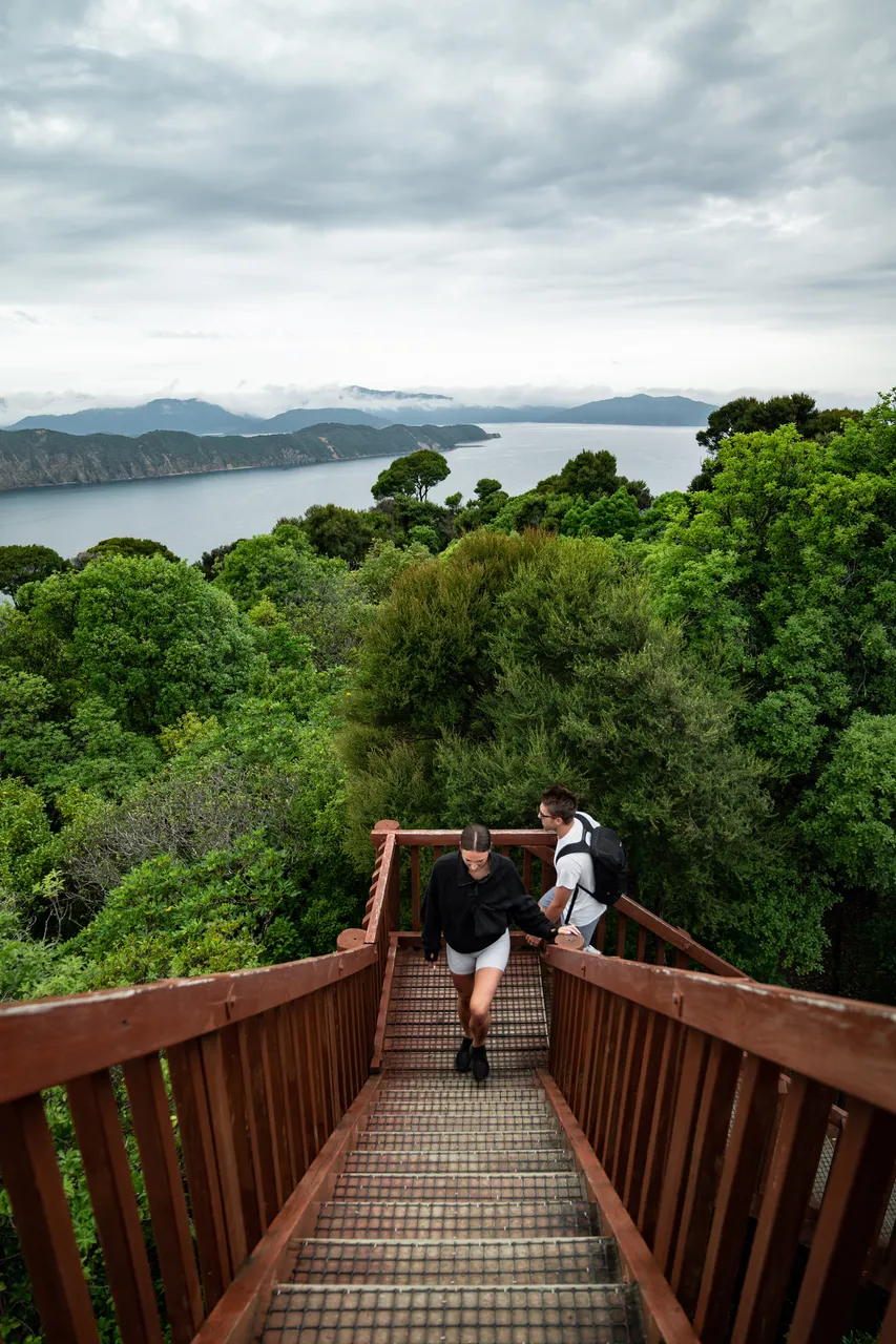 Motuara Bird Sanctuary