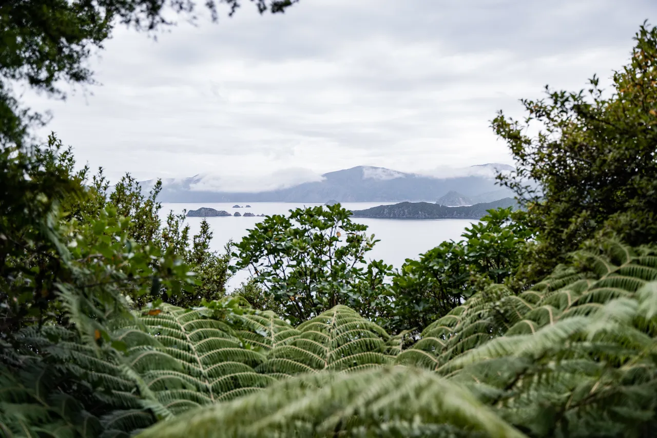 Motuara Bird Sanctuary