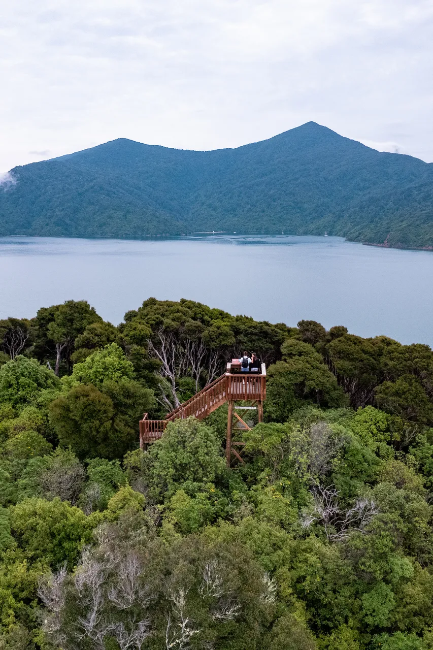 Motuara Bird Sanctuary