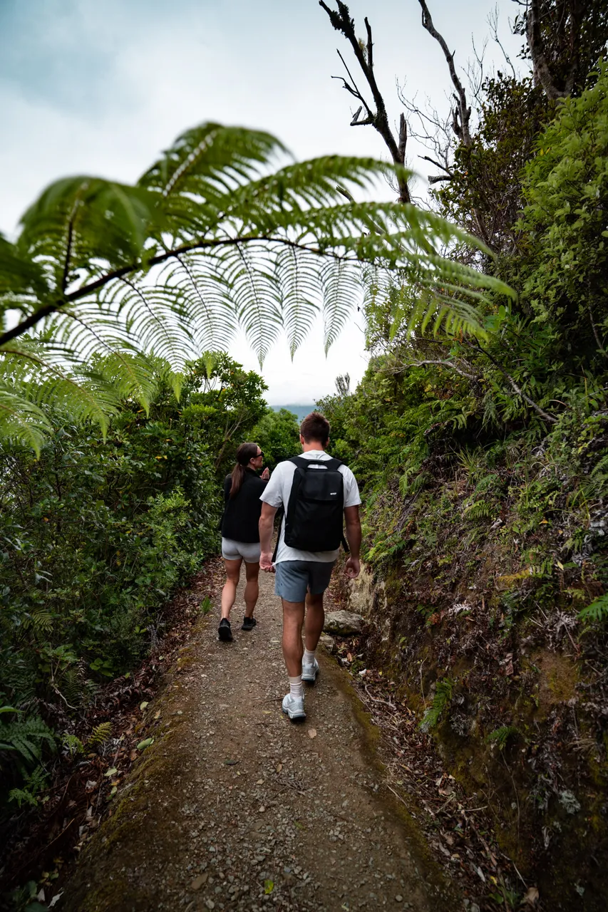 Motuara Bird Sanctuary