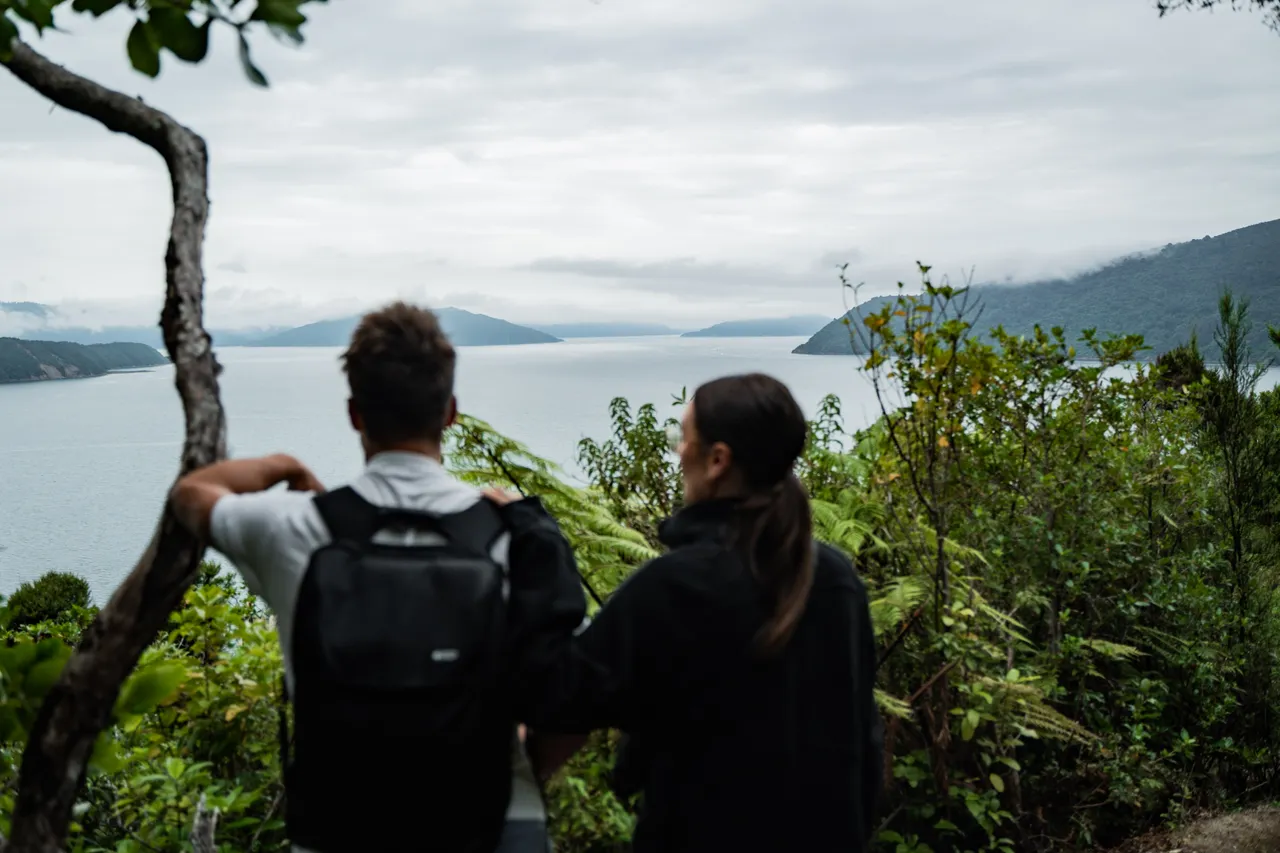 Motuara Bird Sanctuary