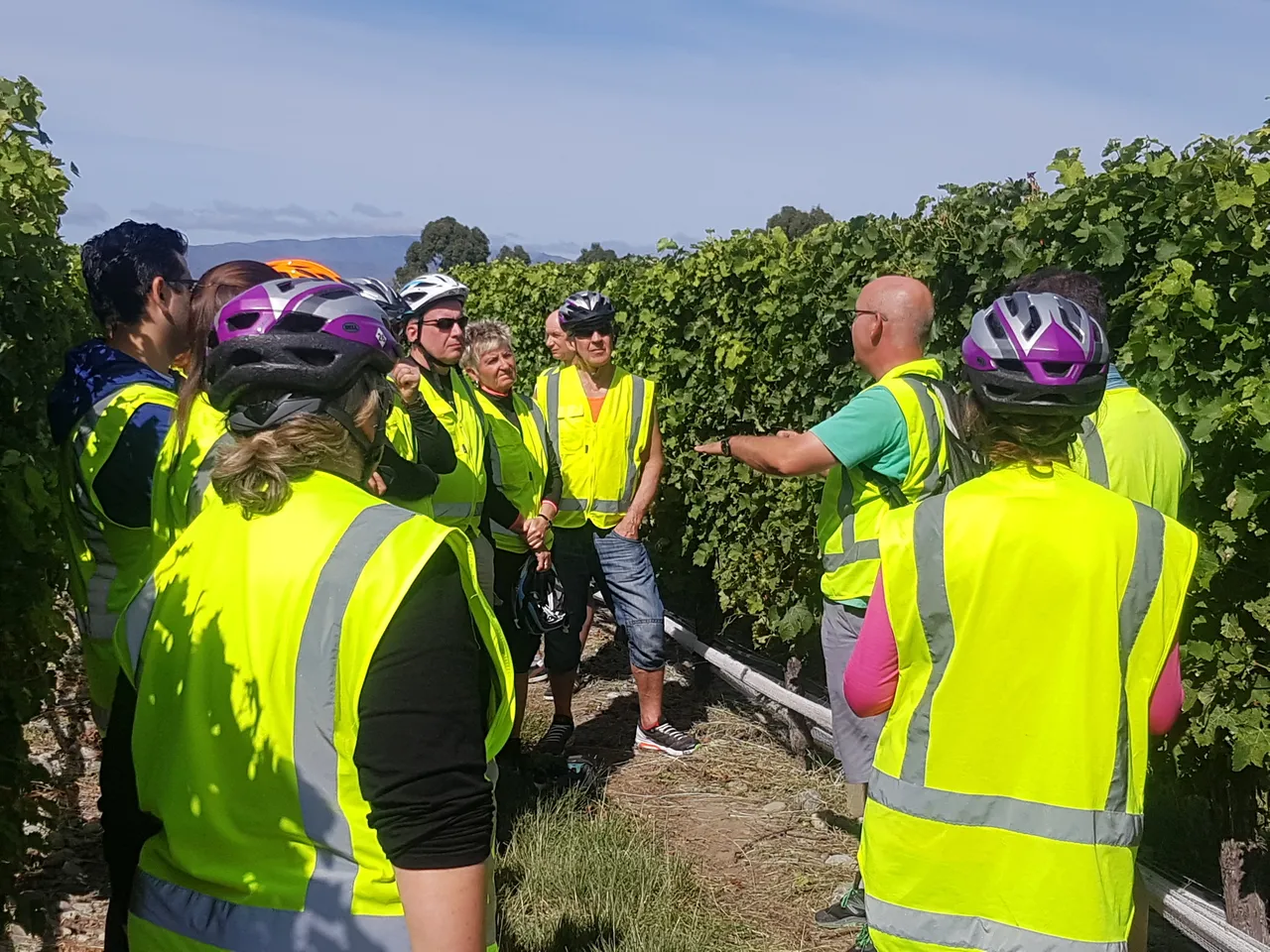 Explore Marlborough Team experiences