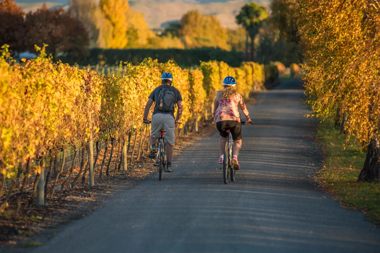 Biking through Vineyards