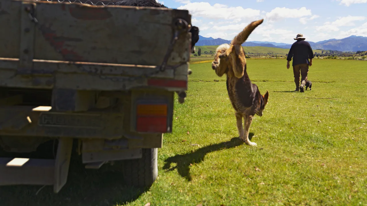 Working in Marlborough