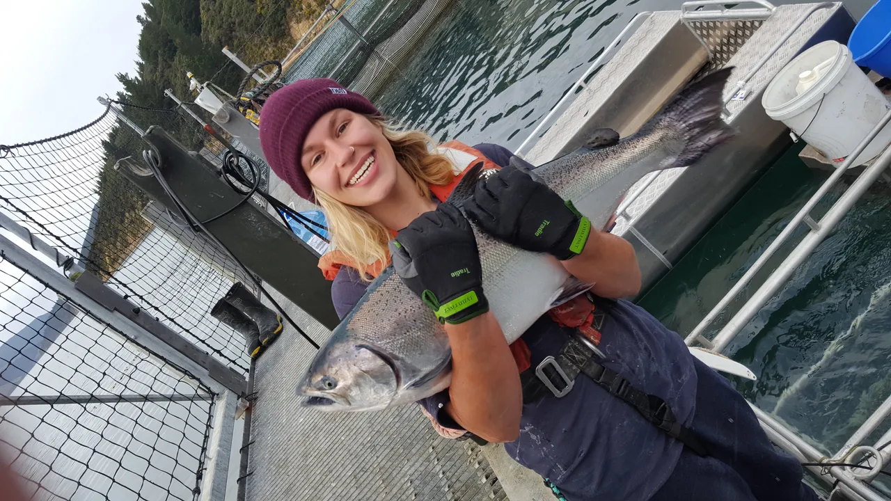 NZ King Salmon worker