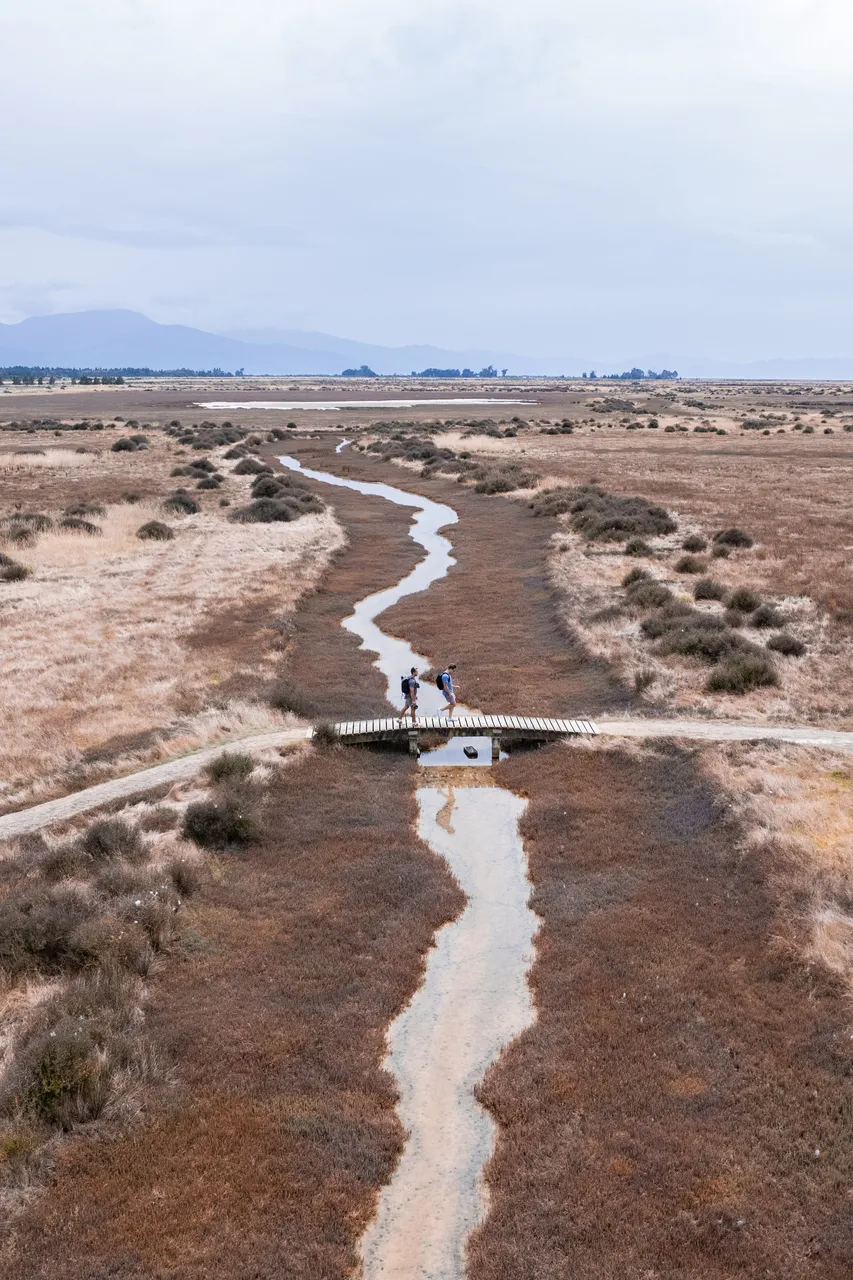 Wairau Lagoons