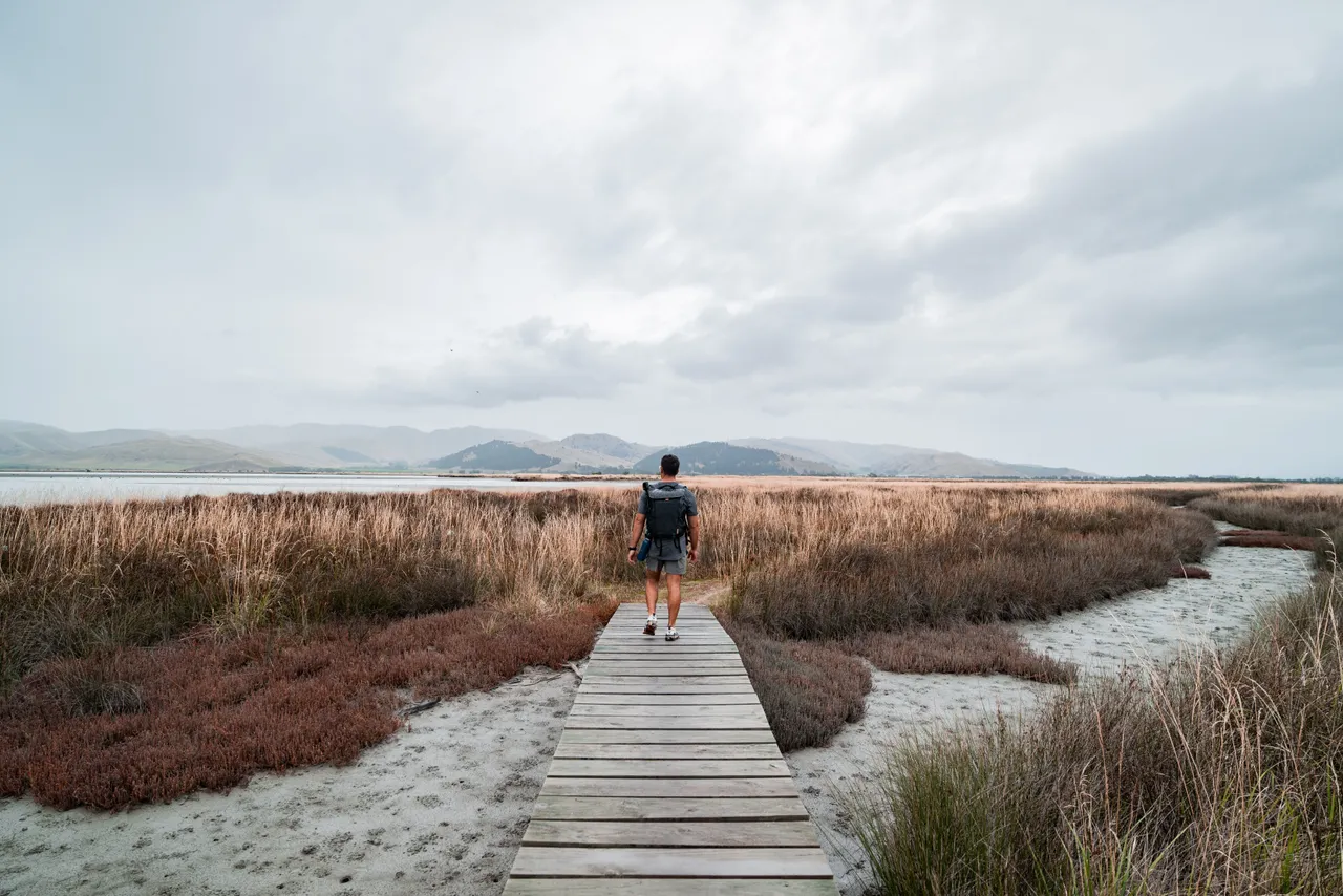 Wairau Lagoons