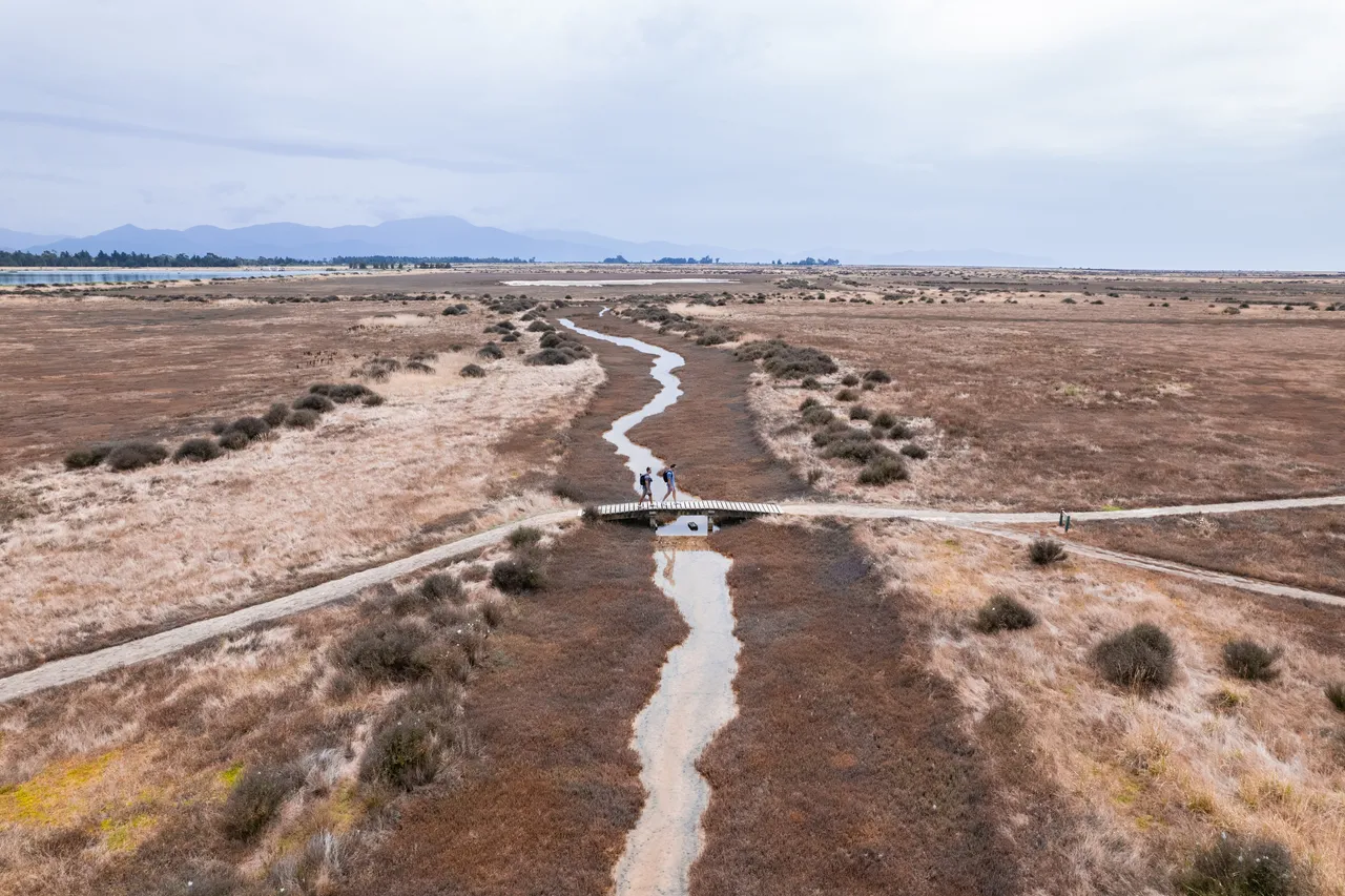 Wairau Lagoons